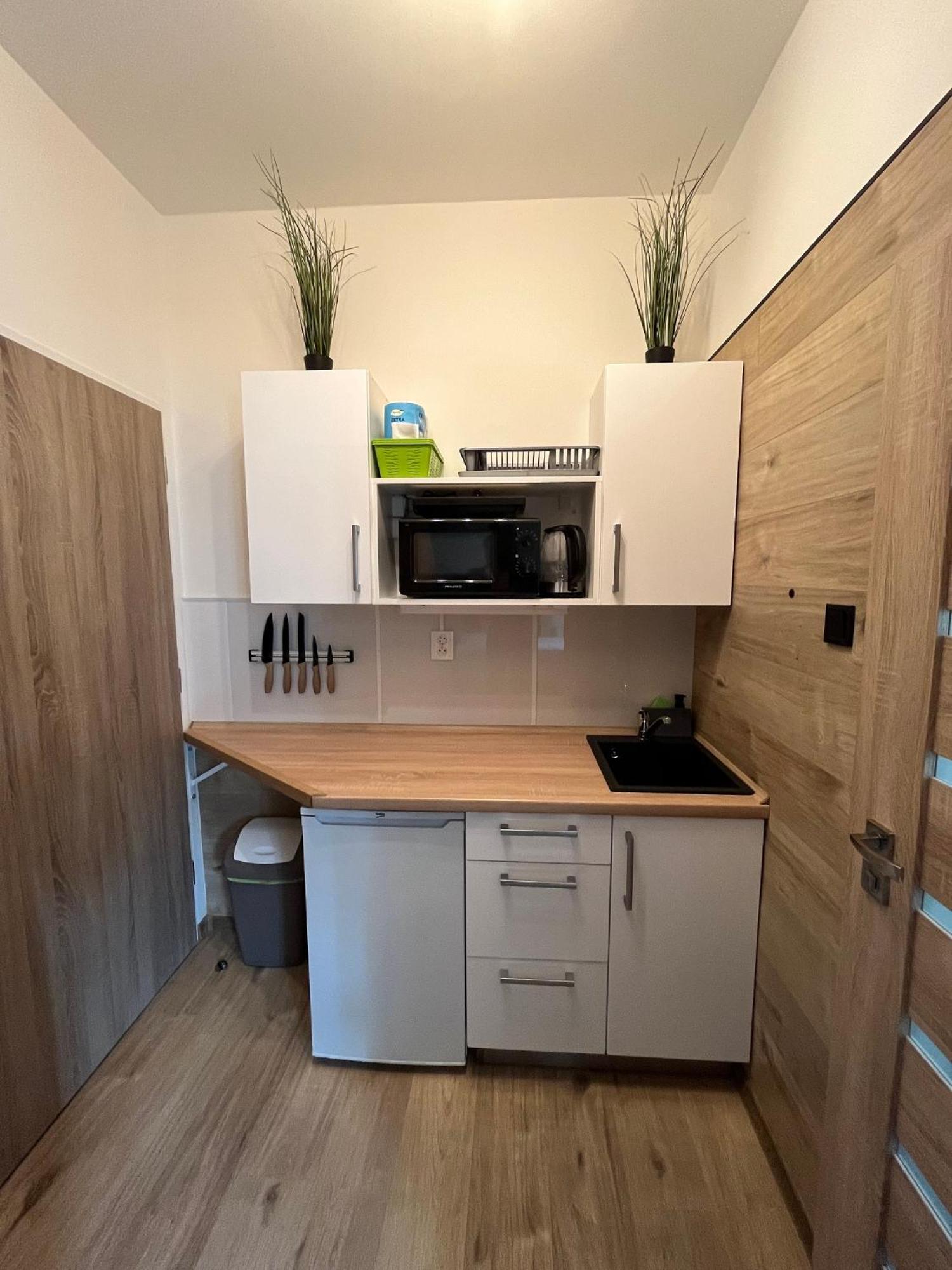 Rosa Apartment Decin