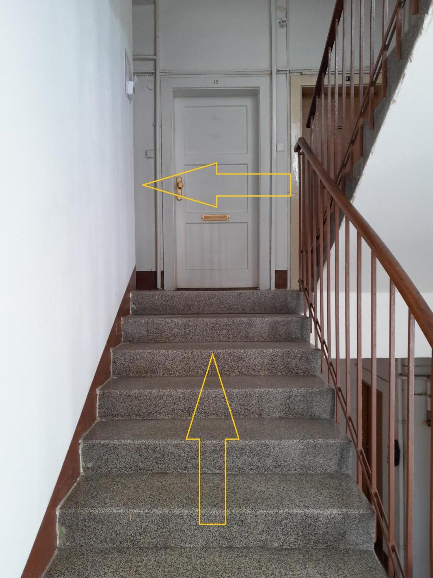 Apartment Rosa